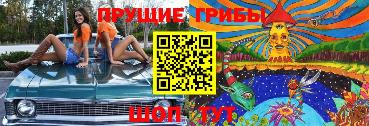 Кировск  Галлюциногенные грибы GOLDEN TEACHER  Вход с VPN  Псилоцибиновые грибы мухоморы 